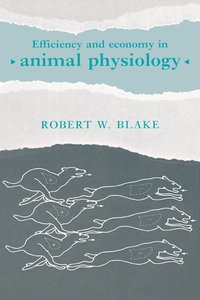 bokomslag Efficiency and Economy in Animal Physiology