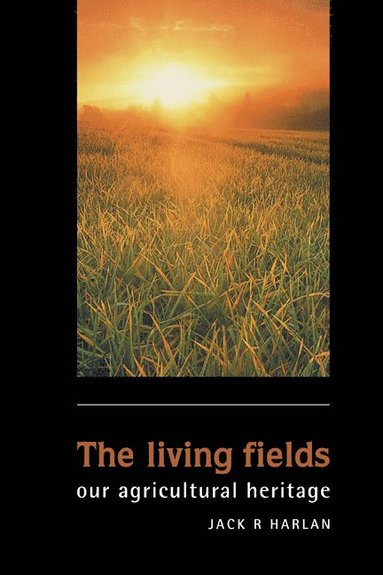 bokomslag Living Fields
