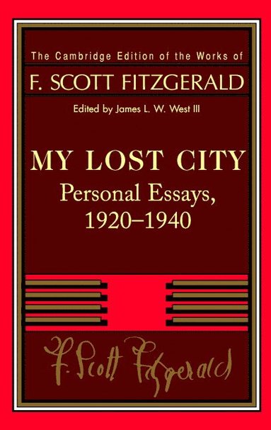 bokomslag Fitzgerald: My Lost City