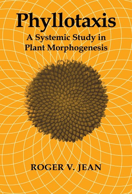 Phyllotaxis 1