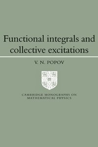 bokomslag Functional Integrals and Collective Excitations