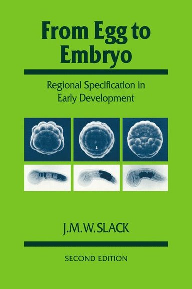 bokomslag From Egg to Embryo