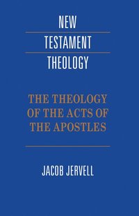 bokomslag Theology of the Acts of the Apostles