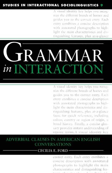 bokomslag Grammar in Interaction