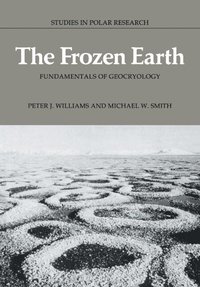 bokomslag The Frozen Earth