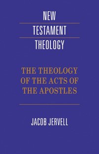 bokomslag The Theology of the Acts of the Apostles