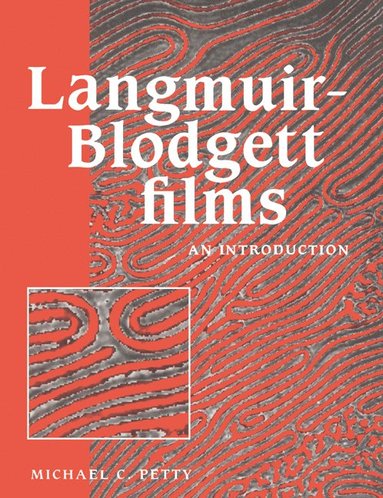 bokomslag Langmuir-Blodgett Films