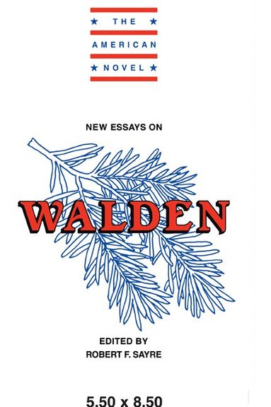 bokomslag New Essays on Walden