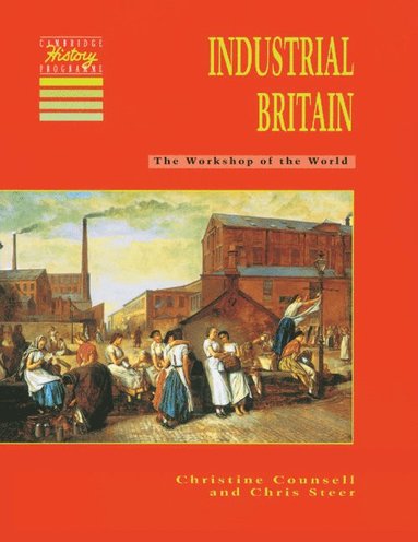 bokomslag Industrial Britain