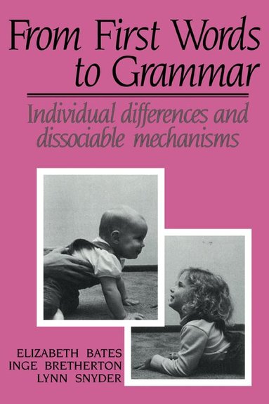 Elizabeth Bates, Inge Bretherton, Lynn Sebestyen Snyder - From First Words to Grammar, Häftad