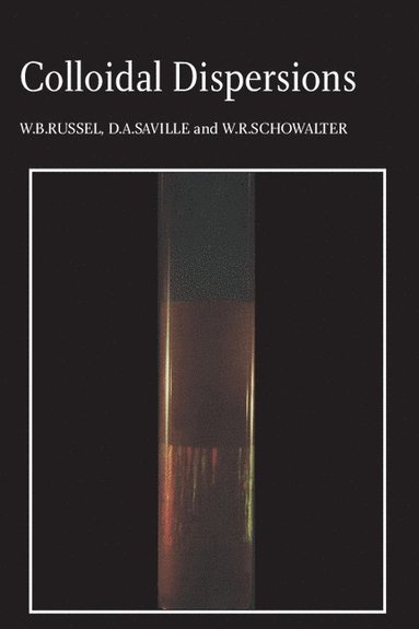 bokomslag Colloidal Dispersions