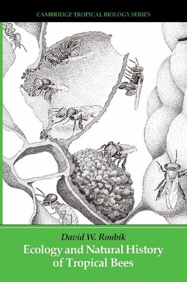 David W. Roubik, David W. Roubik - Ecology and Natural History of Tropical Bees, Häftad