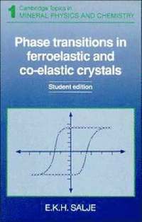 bokomslag Phase Transitions in Ferroelastic and Co-elastic Crystals