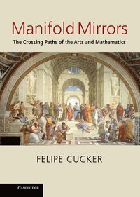 bokomslag Manifold Mirrors