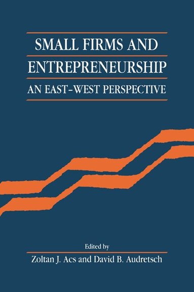 Zoltan J. Acs, David B. Audretsch - Small Firms and Entrepreneurship, Inbunden