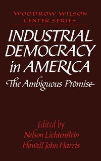 bokomslag Industrial Democracy in America