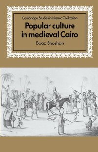 bokomslag Popular Culture in Medieval Cairo