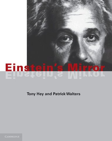 Tony Hey, Patrick Walters - Einstein's Mirror, Häftad