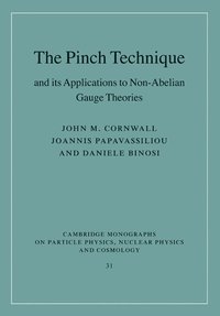 bokomslag The Pinch Technique and its Applications to Non-Abelian Gauge Theories