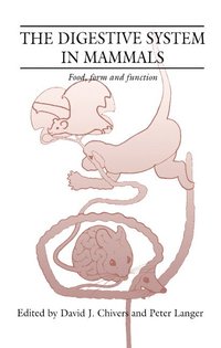 bokomslag The Digestive System in Mammals