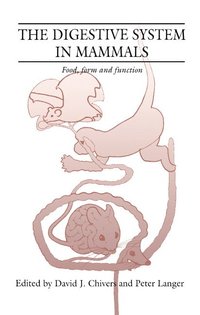 bokomslag The Digestive System in Mammals: Food Form and Function