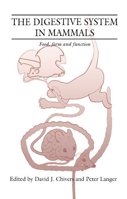 The Digestive System in Mammals 1