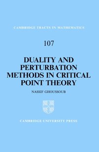 bokomslag Duality and Perturbation Methods in Critical Point Theory