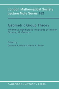 bokomslag Geometric Group Theory: Volume 2
