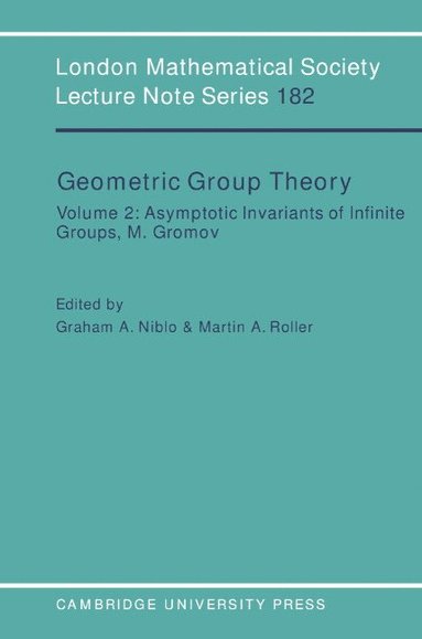 bokomslag Geometric Group Theory: Volume 2