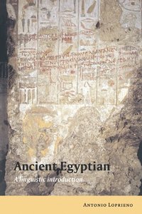 bokomslag Ancient Egyptian