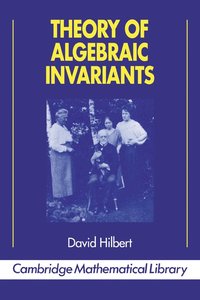 bokomslag Theory of Algebraic Invariants