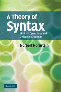 bokomslag A Theory of Syntax