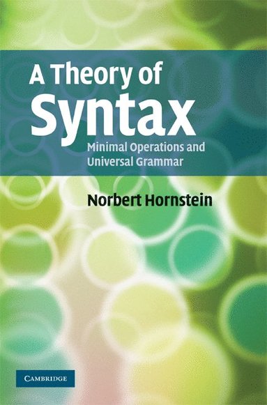 bokomslag A Theory of Syntax