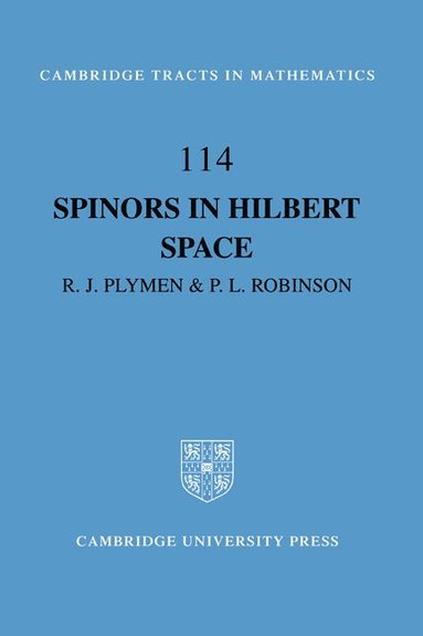 bokomslag Spinors in Hilbert Space