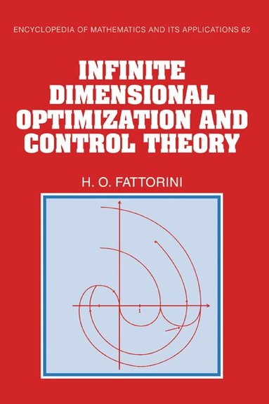 Hector O. Fattorini - Infinite Dimensional Optimization and Control Theory, Inbunden