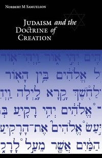 bokomslag Judaism and the Doctrine of Creation