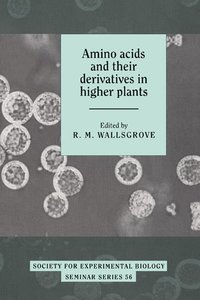 bokomslag Amino Acids and their Derivatives in Higher Plants