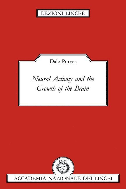 Neural Activity and the Growth of the Brain 1
