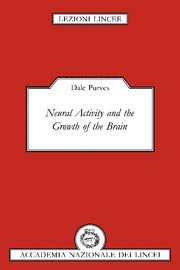 Neural Activity and the Growth of the Brain 1