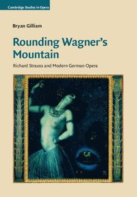 bokomslag Rounding Wagner's Mountain