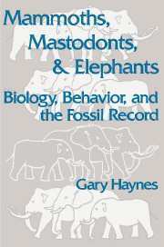 Gary Haynes - Mammoths, Mastodonts, and Elephants, Häftad