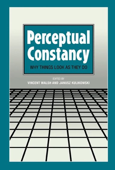 bokomslag Perceptual Constancy