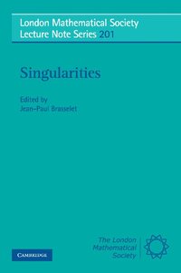 bokomslag Singularities