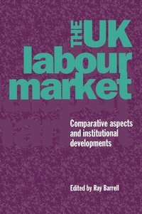 bokomslag The UK Labour Market