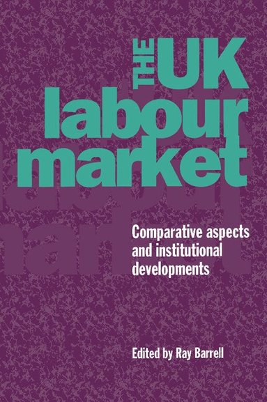 Ray Barrell - The UK Labour Market, Häftad