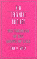 bokomslag The Theology of the Gospel of Luke