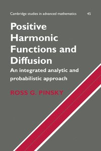bokomslag Positive Harmonic Functions and Diffusion