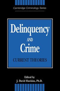 bokomslag Delinquency and Crime