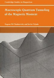bokomslag Macroscopic Quantum Tunneling of the Magnetic Moment