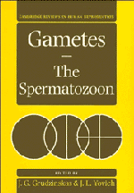 Gametes - The Spermatozoon